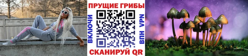 Псилоцибиновые грибы GOLDEN TEACHER  ссылка на мегу зеркало  Подпорожье  как найти наркотики 
